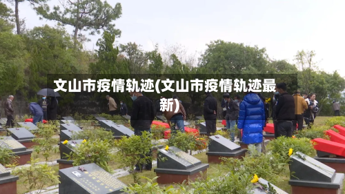 文山市疫情轨迹(文山市疫情轨迹最新)-第3张图片