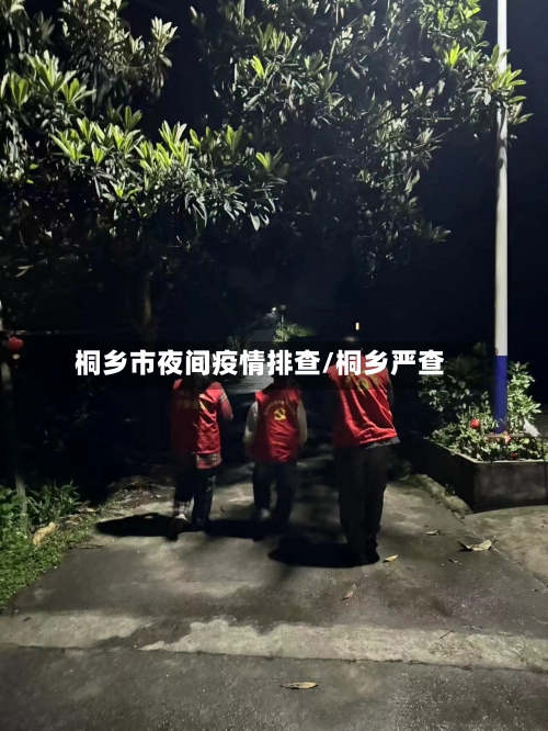 桐乡市夜间疫情排查/桐乡严查-第1张图片