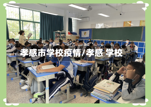 孝感市学校疫情/孝感 学校-第3张图片