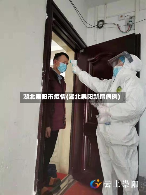 湖北崇阳市疫情(湖北崇阳新增病例)-第2张图片