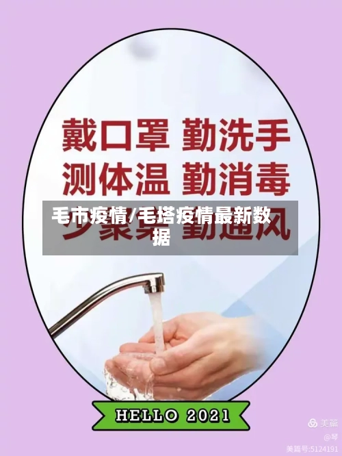 毛市疫情/毛塔疫情最新数据-第2张图片