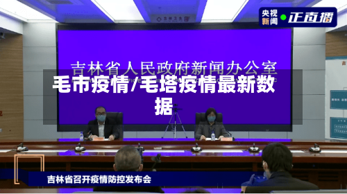 毛市疫情/毛塔疫情最新数据-第3张图片