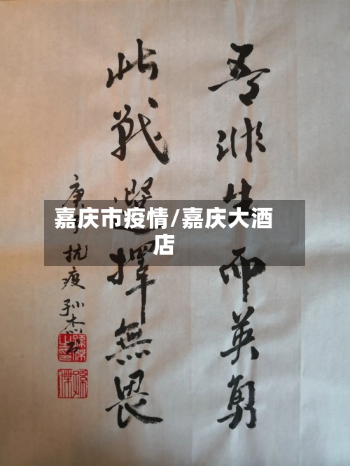 嘉庆市疫情/嘉庆大酒店-第3张图片