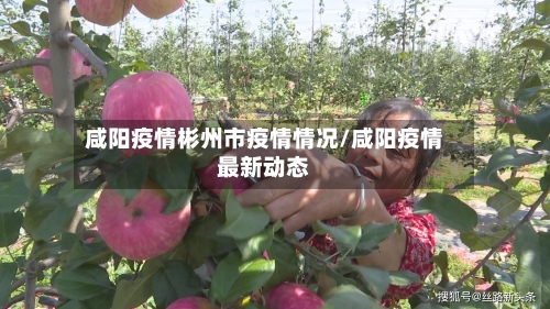 咸阳疫情彬州市疫情情况/咸阳疫情最新动态-第2张图片