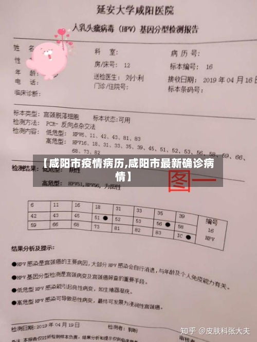【咸阳市疫情病历,咸阳市最新确诊病情】-第1张图片