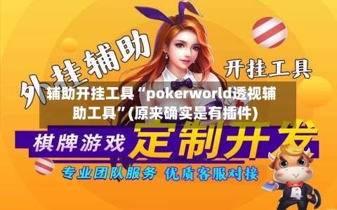 辅助开挂工具“pokerworld透视辅助工具”(原来确实是有插件)-第1张图片