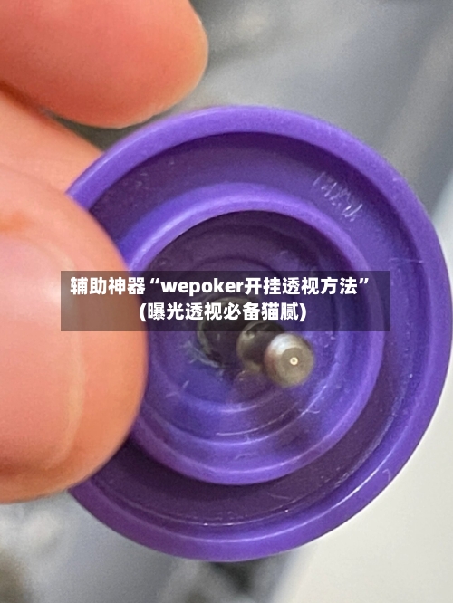 辅助神器“wepoker开挂透视方法”(曝光透视必备猫腻)-第1张图片