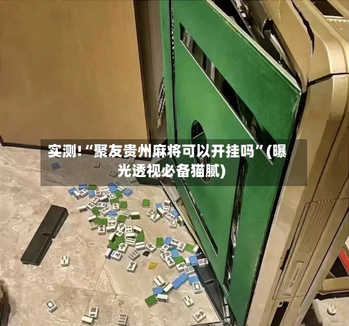 实测!“聚友贵州麻将可以开挂吗”(曝光透视必备猫腻)-第2张图片