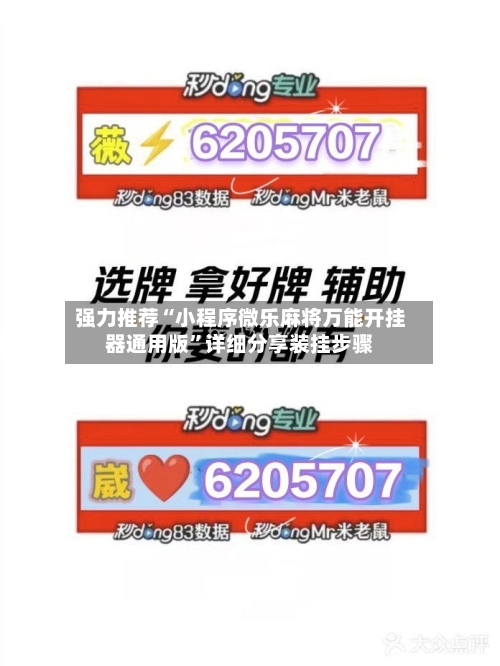 强力推荐“小程序微乐麻将万能开挂器通用版	”详细分享装挂步骤-第3张图片