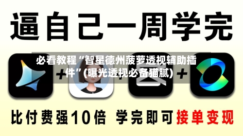 必看教程“智星德州菠萝透视辅助插件”(曝光透视必备猫腻)-第2张图片