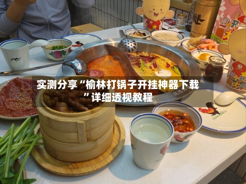 实测分享“榆林打锅子开挂神器下载”详细透视教程-第2张图片