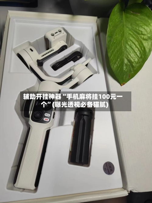 辅助开挂神器“手机麻将挂100元一个”(曝光透视必备猫腻)-第1张图片