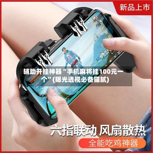 辅助开挂神器“手机麻将挂100元一个	”(曝光透视必备猫腻)-第2张图片