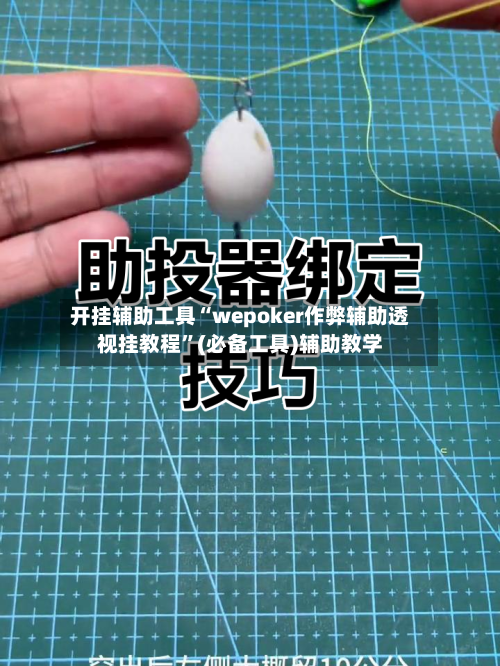 开挂辅助工具“wepoker作弊辅助透视挂教程”(必备工具)辅助教学-第1张图片