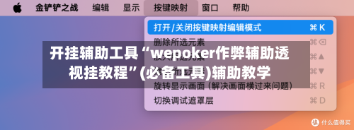 开挂辅助工具“wepoker作弊辅助透视挂教程”(必备工具)辅助教学-第2张图片