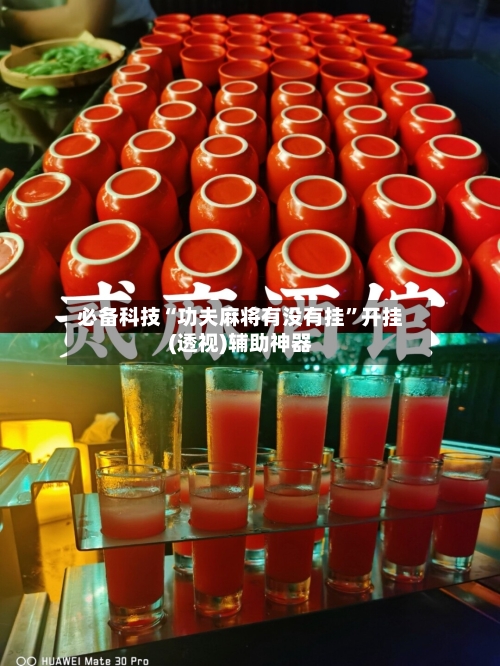 必备科技“功夫麻将有没有挂	”开挂(透视)辅助神器-第3张图片