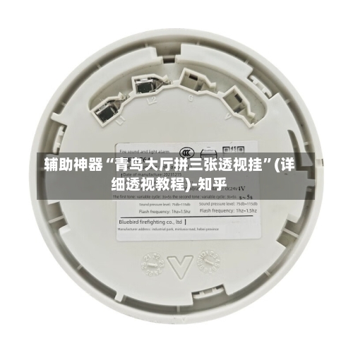 辅助神器“青鸟大厅拼三张透视挂	”(详细透视教程)-知乎-第1张图片