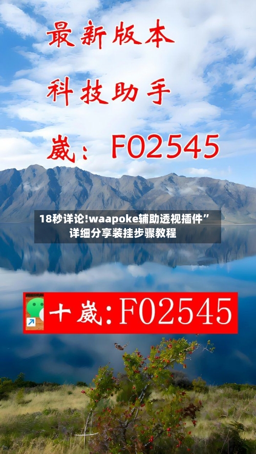 18秒详论!waapoke辅助透视插件”详细分享装挂步骤教程-第3张图片