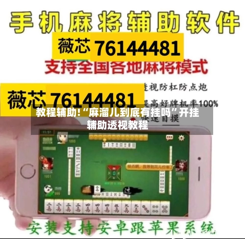 教程辅助!“麻溜儿到底有挂吗”开挂辅助透视教程-第2张图片
