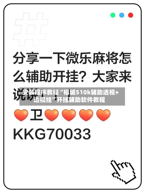 安装程序教程“榕城510k辅助透视+透视挂	”开挂辅助软件教程-第1张图片