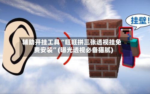 辅助开挂工具“旺旺拼三张透视挂免费安装	”(曝光透视必备猫腻)-第1张图片