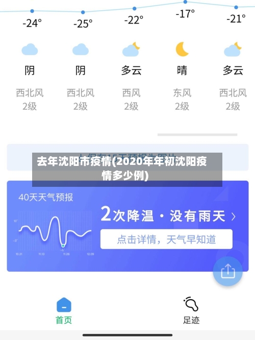 去年沈阳市疫情(2020年年初沈阳疫情多少例)-第3张图片