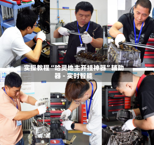 实操教程“哈灵地主开挂神器”辅助器 - 实时智能-第2张图片