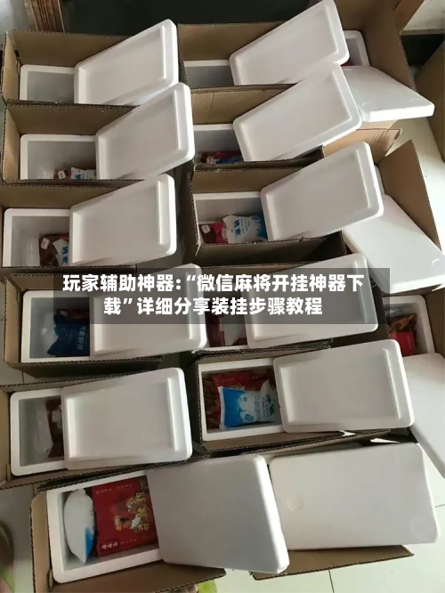 玩家辅助神器:“微信麻将开挂神器下载”详细分享装挂步骤教程-第1张图片