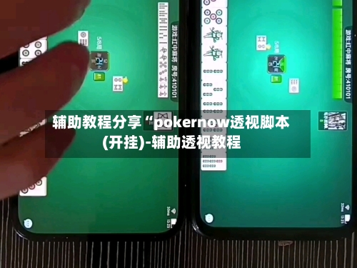 辅助教程分享“pokernow透视脚本(开挂)-辅助透视教程-第3张图片