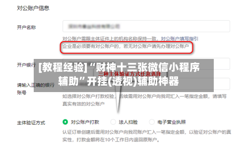 [教程经验]“财神十三张微信小程序辅助”开挂(透视)辅助神器-第1张图片