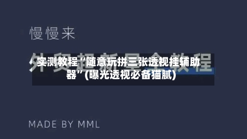 实测教程“随意玩拼三张透视挂辅助器”(曝光透视必备猫腻)-第1张图片