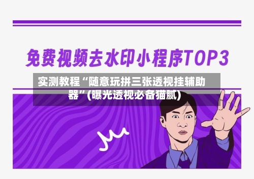 实测教程“随意玩拼三张透视挂辅助器”(曝光透视必备猫腻)-第2张图片