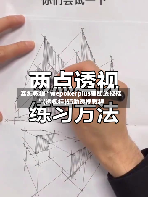实测教程“wepokerplus辅助透视挂”(透视挂)辅助透视教程-第1张图片