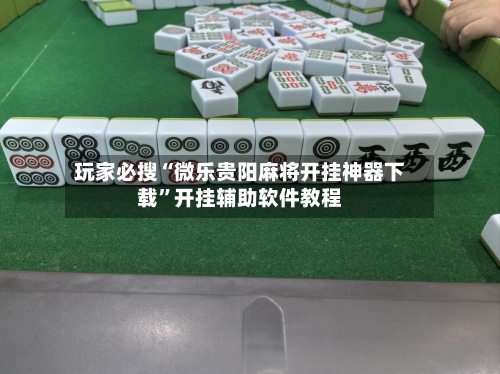 玩家必搜“微乐贵阳麻将开挂神器下载	”开挂辅助软件教程-第1张图片