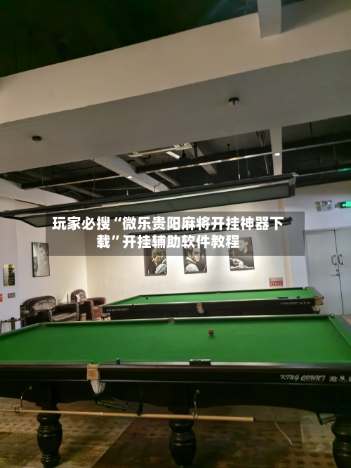 玩家必搜“微乐贵阳麻将开挂神器下载”开挂辅助软件教程-第2张图片