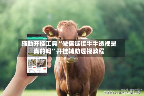 辅助开挂工具“微信链接牛牛透视是真的吗”开挂辅助透视教程-第1张图片