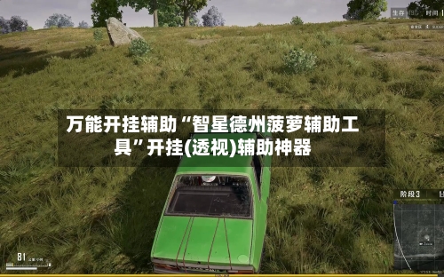 万能开挂辅助“智星德州菠萝辅助工具	”开挂(透视)辅助神器-第1张图片