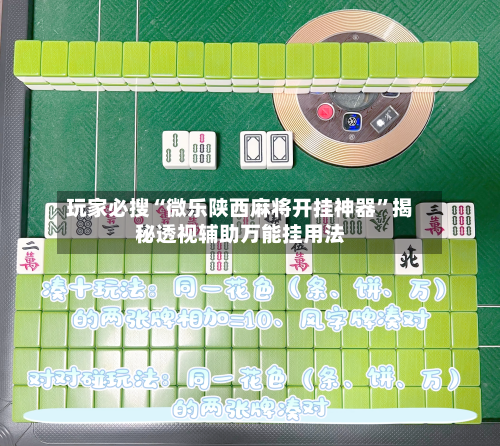 玩家必搜“微乐陕西麻将开挂神器	”揭秘透视辅助万能挂用法-第1张图片