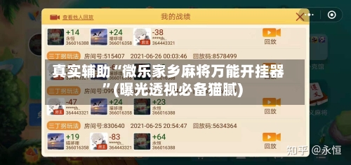 真实辅助“微乐家乡麻将万能开挂器”(曝光透视必备猫腻)-第1张图片