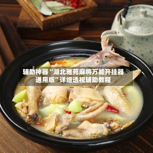 辅助神器“湖北雅苑麻将万能开挂器通用版	”详细透视辅助教程-第1张图片