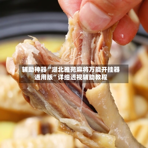 辅助神器“湖北雅苑麻将万能开挂器通用版”详细透视辅助教程-第2张图片