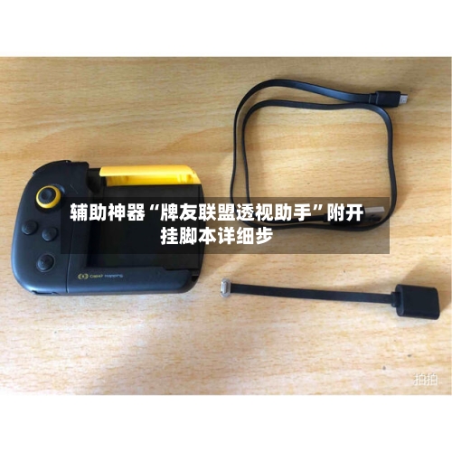 辅助神器“牌友联盟透视助手	”附开挂脚本详细步-第1张图片