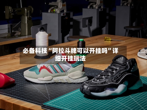 必备科技“阿拉斗牌可以开挂吗”详细开挂玩法-第2张图片