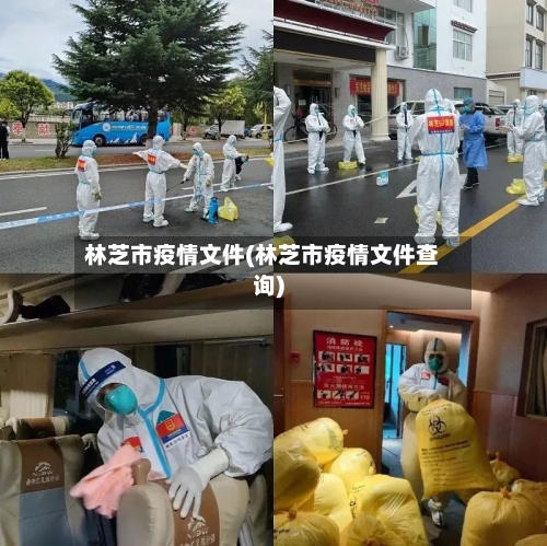 林芝市疫情文件(林芝市疫情文件查询)-第1张图片