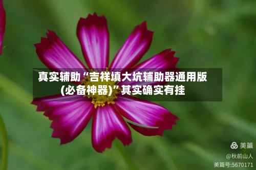 真实辅助“吉祥填大坑辅助器通用版(必备神器)”其实确实有挂-第1张图片