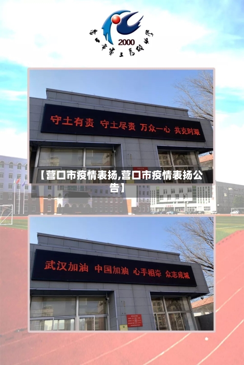 【营口市疫情表扬,营口市疫情表扬公告】-第1张图片