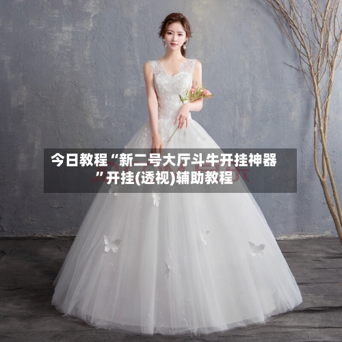 今日教程“新二号大厅斗牛开挂神器”开挂(透视)辅助教程-第2张图片