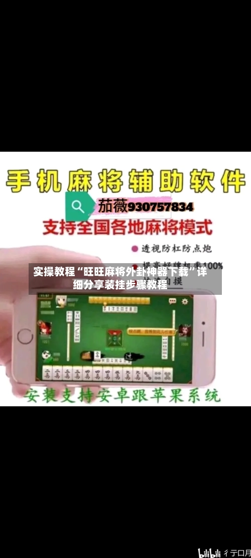 实操教程“旺旺麻将外卦神器下载”详细分享装挂步骤教程-第2张图片
