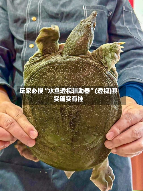 玩家必搜“水鱼透视辅助器	”(透视)其实确实有挂-第1张图片