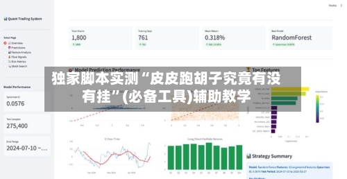 独家脚本实测“皮皮跑胡子究竟有没有挂”(必备工具)辅助教学-第3张图片